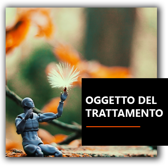 Oggetto trattamento - BrioWeb agenzia marketing