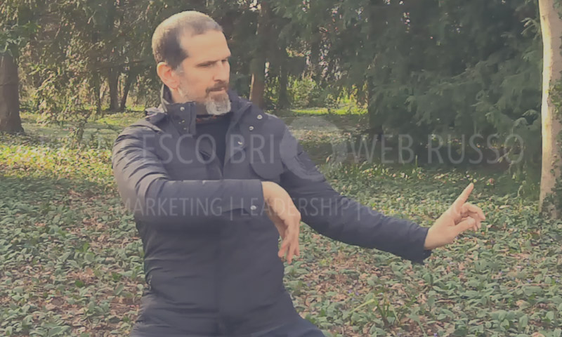Agenzia marketing e neuromarketing | Francesco Russo consulente marketing | BrioWeb consulenza marketing  e seo Treviso Padova Venezia 